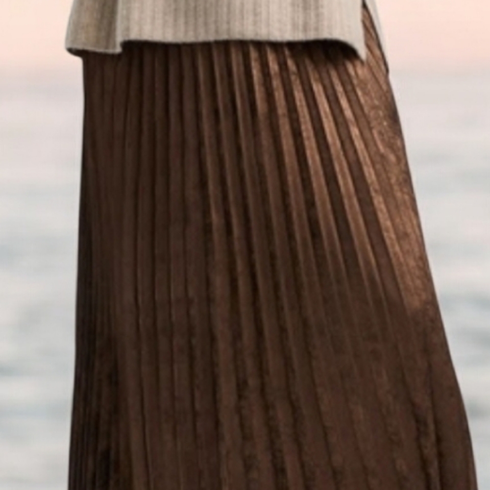 M🏵️Reitmans Chocolate Brown Pleated Midi Skirt - Picture 2 of 9
